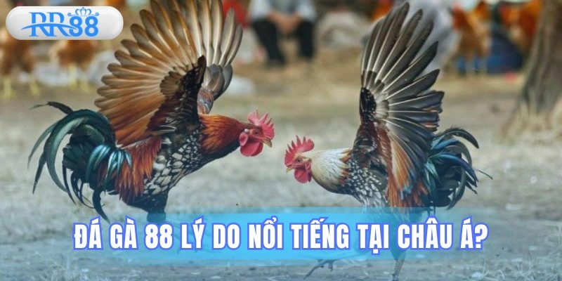 Đá gà 88