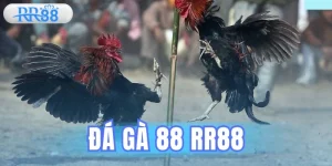 Đá Gà 88