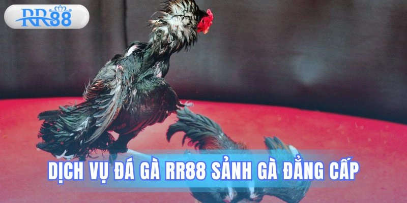 Đá gà