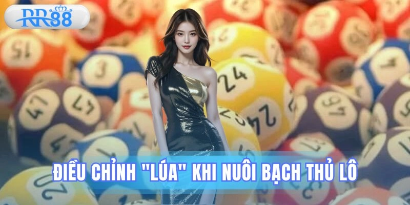 Bạch thủ lô
