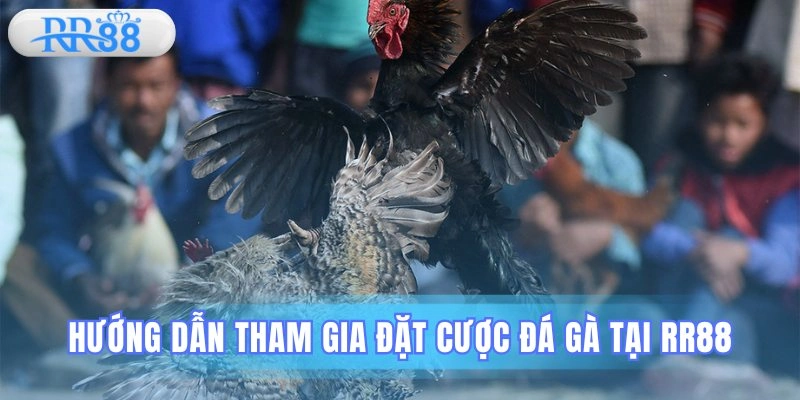 Đá gà